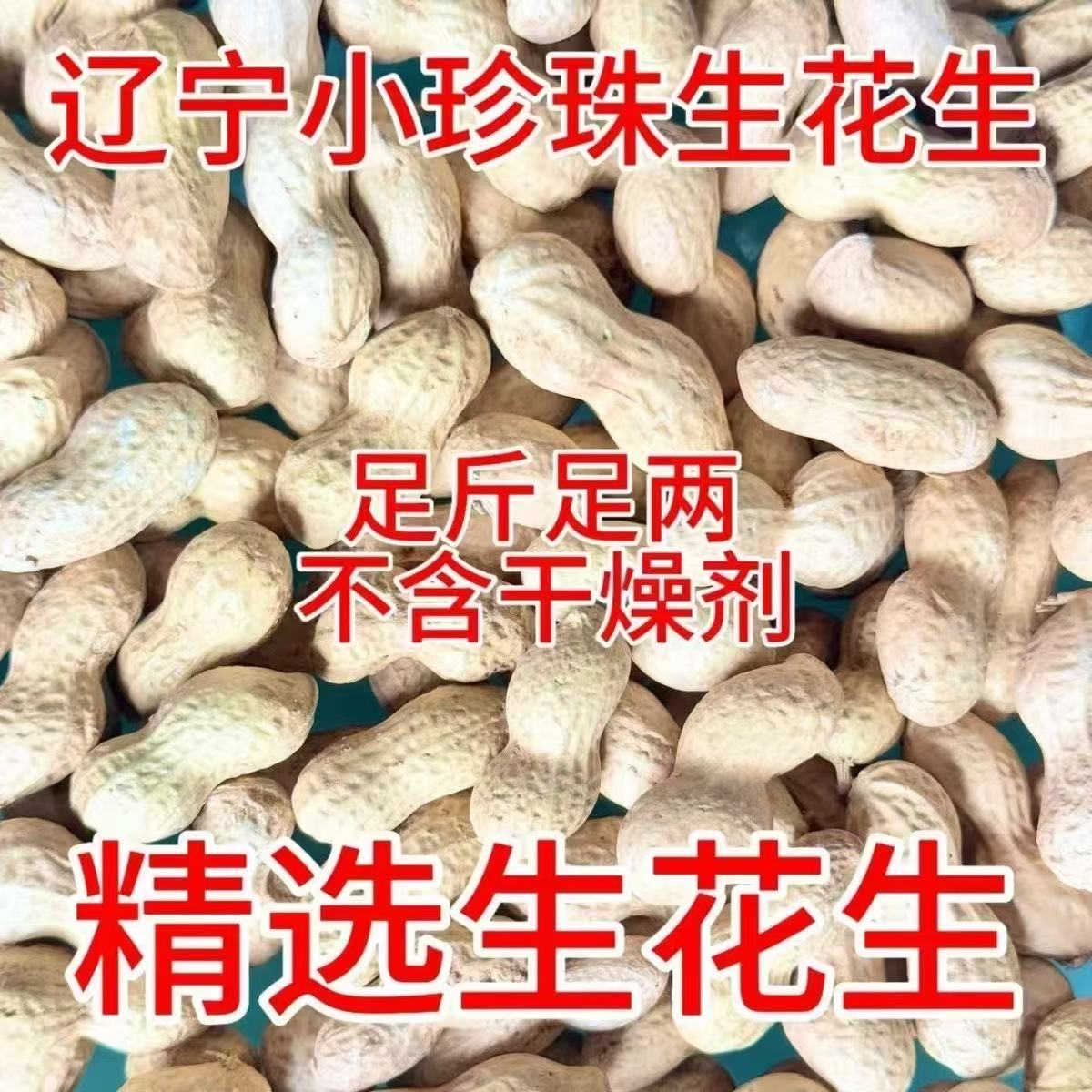 生花生小珍珠花生带壳小花生东北小珍珠干花生小粒晒干榨油花生40