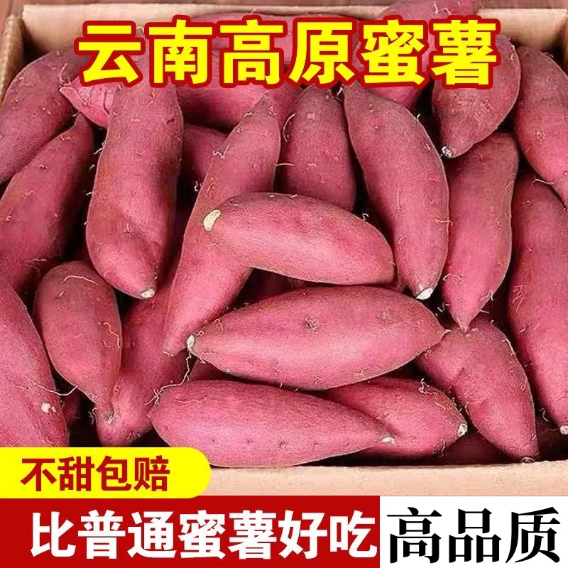 【软糯香甜】云南高原蜜薯红薯地瓜糖心番薯西瓜红产地直发现挖现发