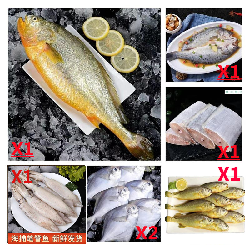 黄鱼/带鱼/开背鲈鱼/海兔/鲳鱼/黄花鱼 6种组合套餐