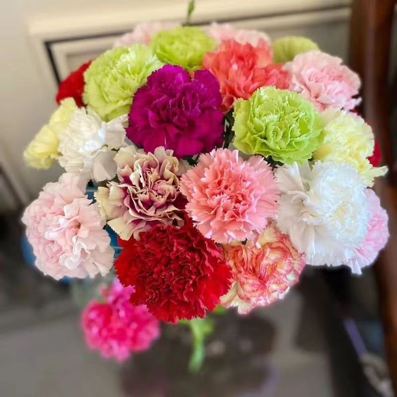 【30枝】 混色康乃馨  任意满2单升级顺丰包邮