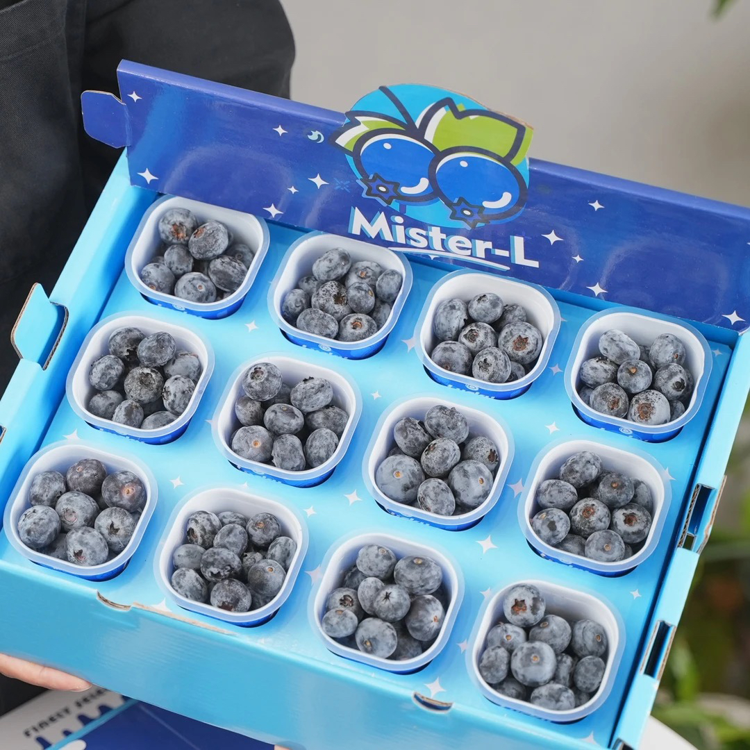 林烁严选 秘鲁进口安第斯山脉比安卡蓝莓18mm+脆甜花香 顺丰包邮