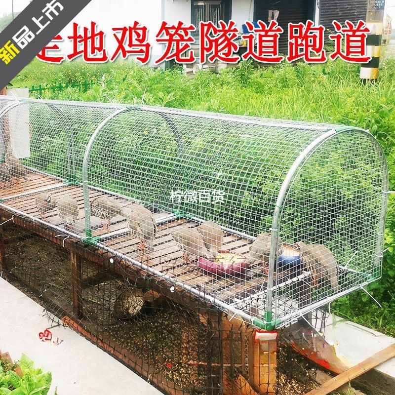 新疆西藏可发鸡棚鸡笼隧道养鸡跑道兔笼家禽养殖防雨鸡舍笼子搭建