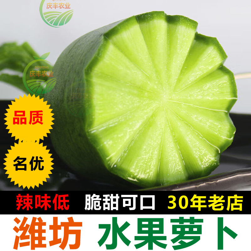 潍坊水果萝卜产地直发潍坊萝卜脆甜多汁微辣爽口正宗老潍县萝卜