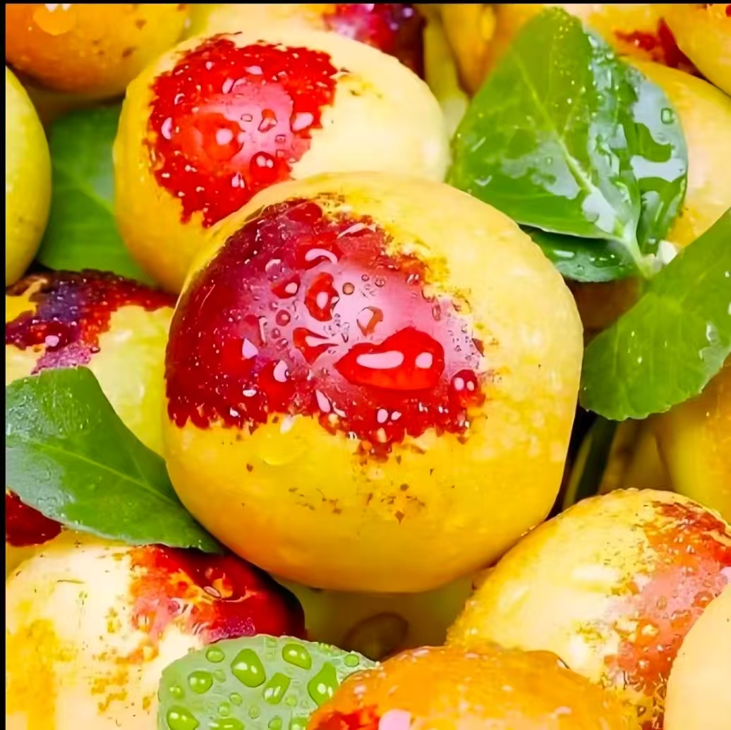 沾化现摘冰糖冬枣脆甜多汁当季新鲜水果as