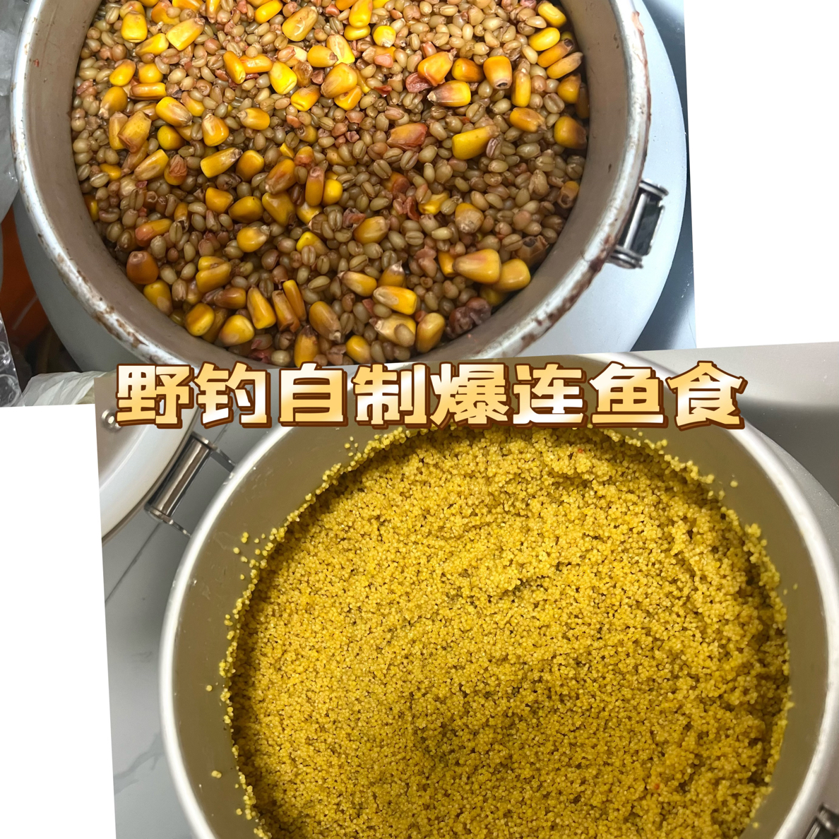 野钓爆连鲫鱼鲤鱼食纯手工自制发酵小米小麦玉米打窝饵料
