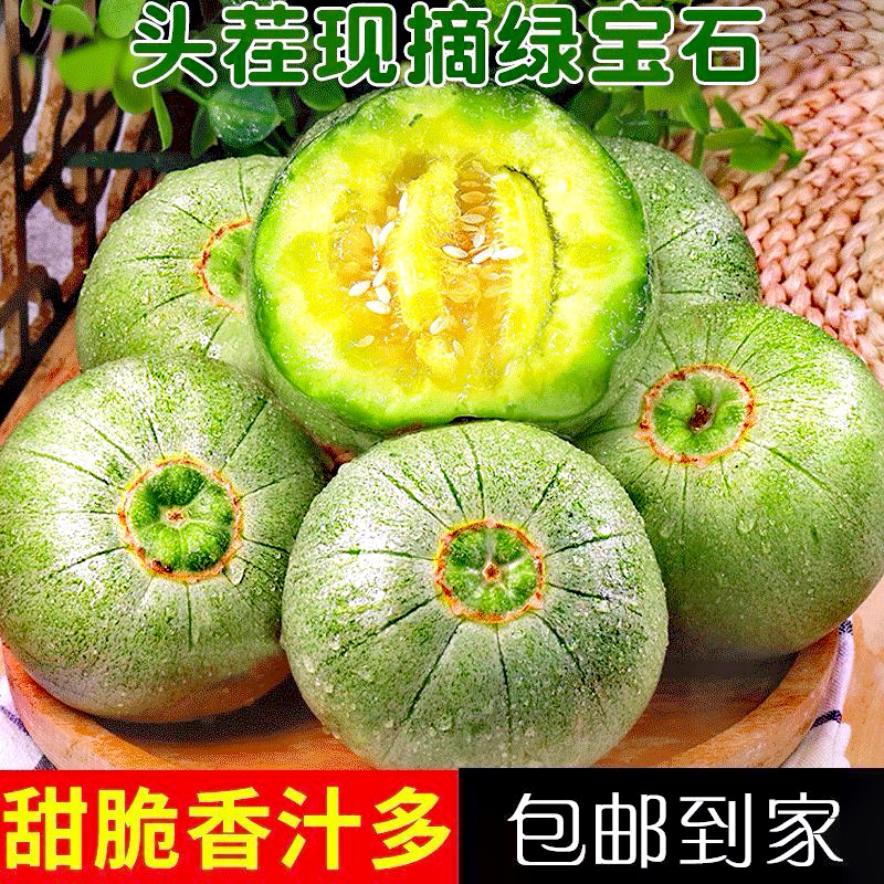 生态种植|绿宝甜瓜香瓜水果新鲜当季蜜瓜包邮时令水果坏果包赔