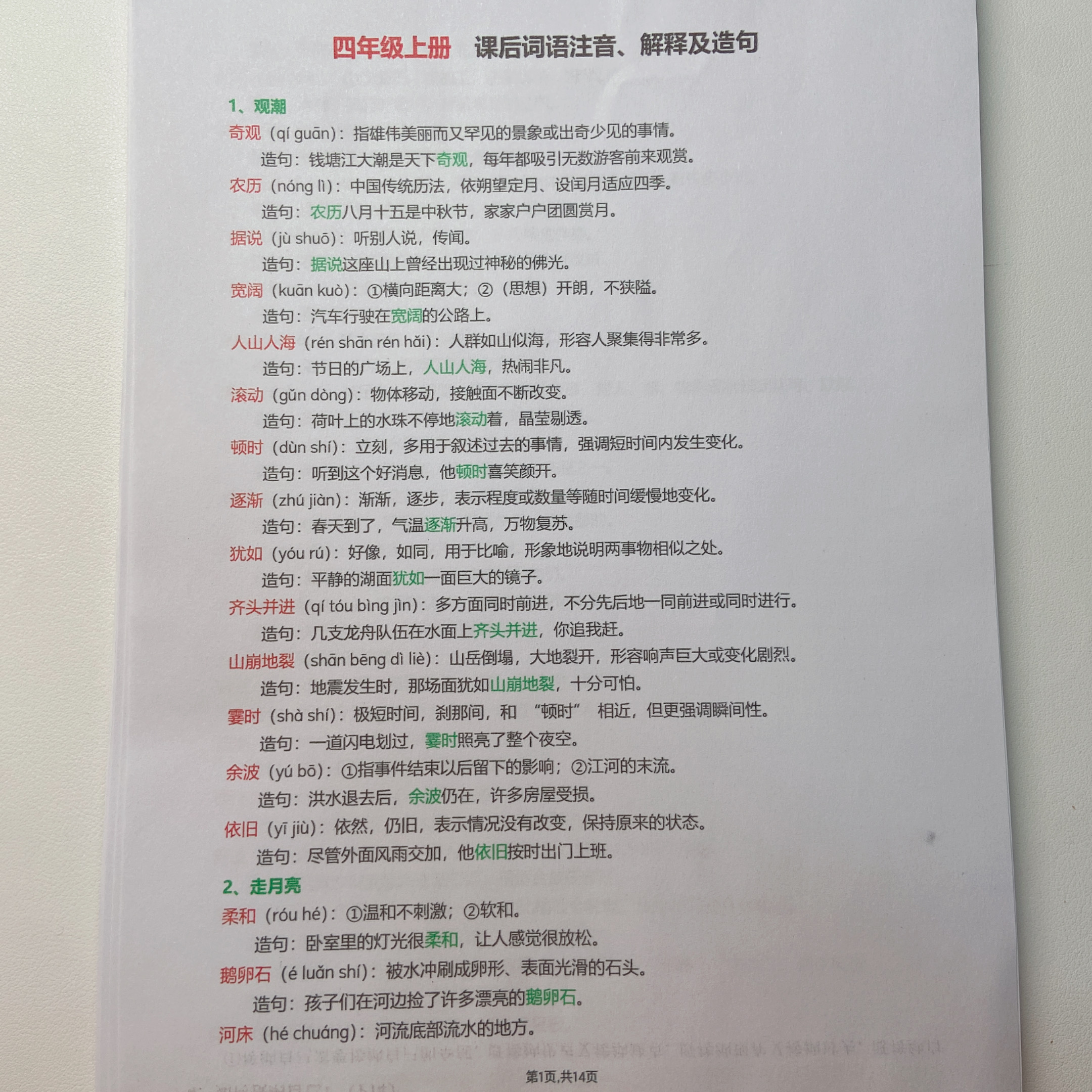 2025秋季新版四年级上册课后拼音词语解释+造句专项知识点