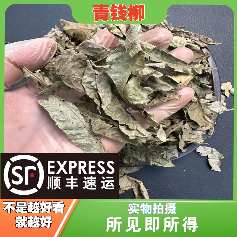 青钱柳叶成都中药材批发别名：古树金钱柳，清钱柳，茶青前