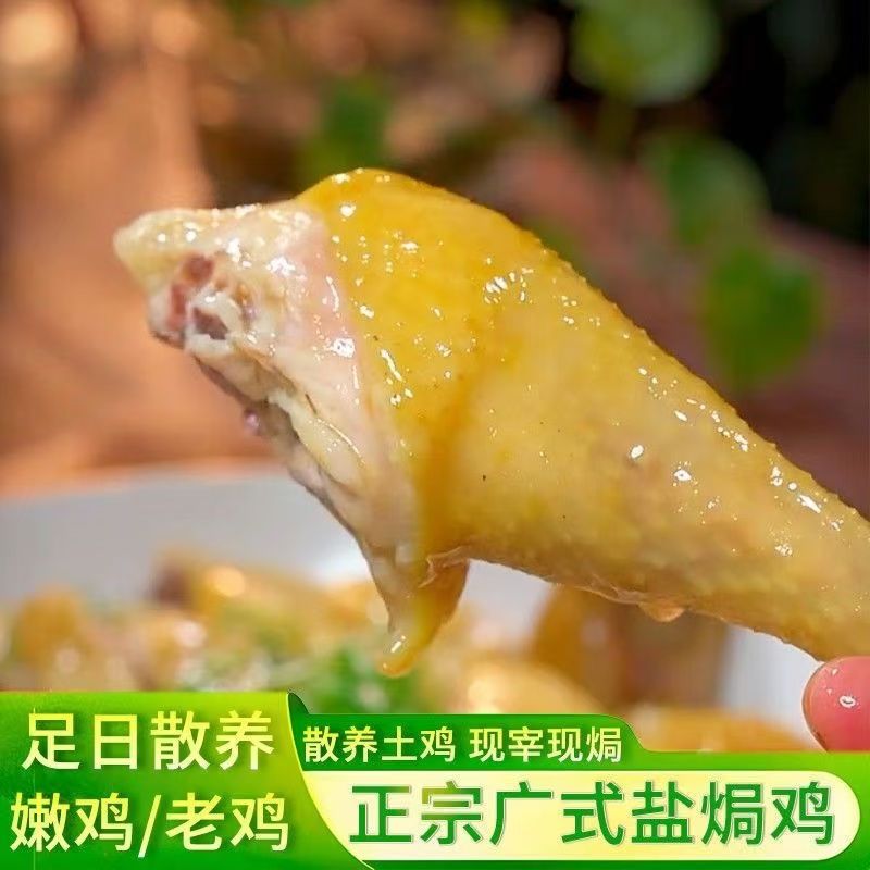 【整鸡三只】广东盐焗鸡农家三黄鸡锁鲜3只*750g整鸡手撕嫩鸡
