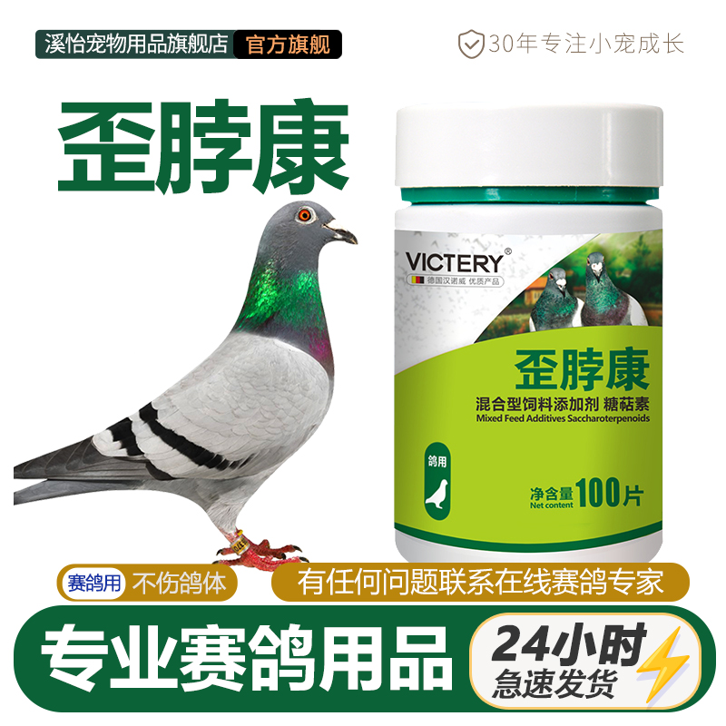 鸽子歪脖康鸽用新城疫沙门氏菌扭头歪脖甩头吐食赛鸽信鸽