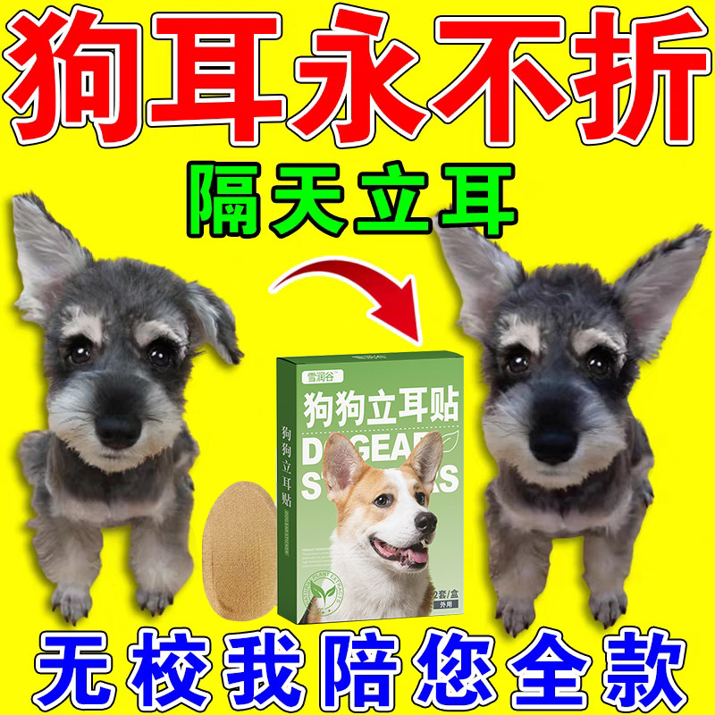 中华田园犬立耳神器立耳小狗柴犬雪纳瑞狗狗立耳贴土狗边牧狼犬
