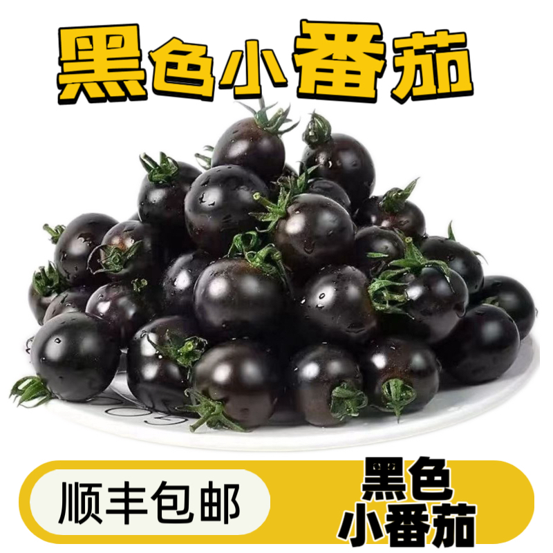 山东寿光黑玫瑰小番茄黑紫色圣女果新鲜水果即食柿子生鲜