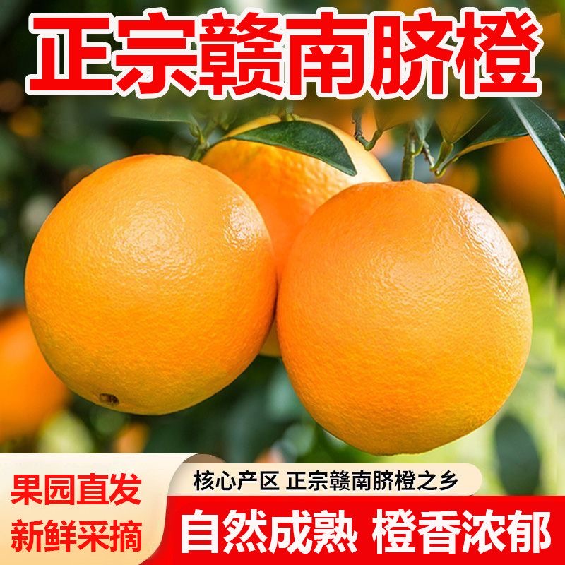 【顺丰/京东包邮】正宗赣南脐橙现摘现发香甜爆汁果园直发送剥橙器