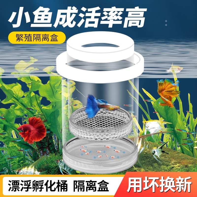 【用坏包赔】鱼缸隔离盒孔雀鱼繁殖盒凤尾斑马母鱼产房小鱼缸用品