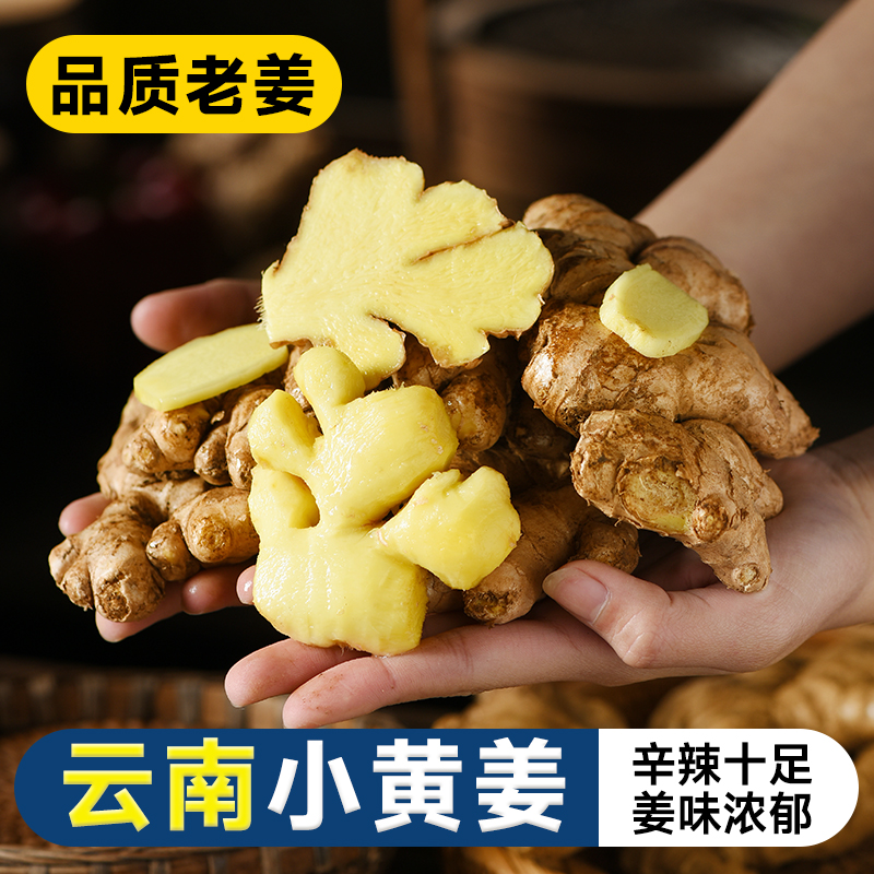 正宗云南小黄姜3斤新鲜生姜现挖土姜黄姜月子姜蔬山地菜农家自种