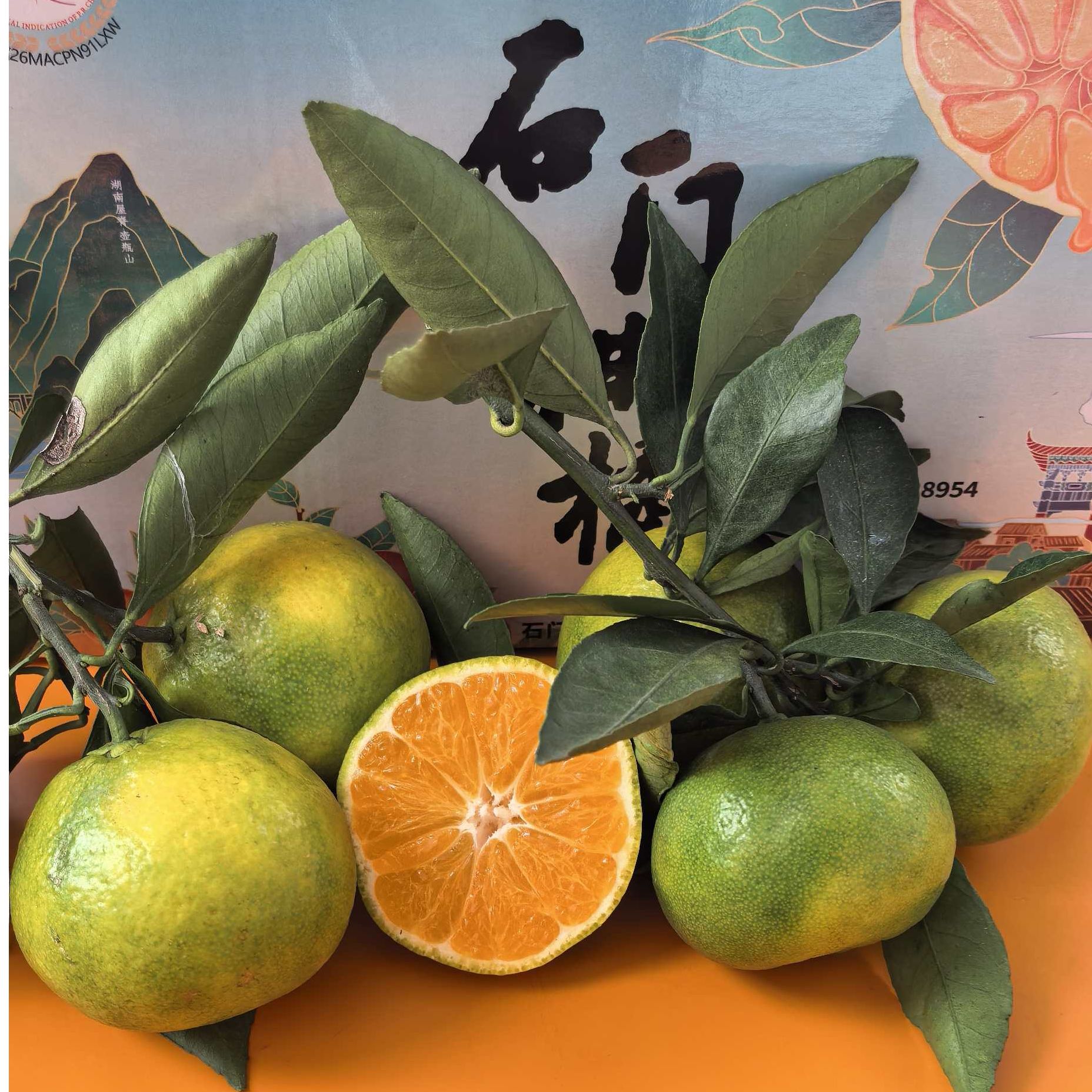 石门柑橘蜜桔核心产区当季新鲜水果现摘现发 5斤/箱 包邮