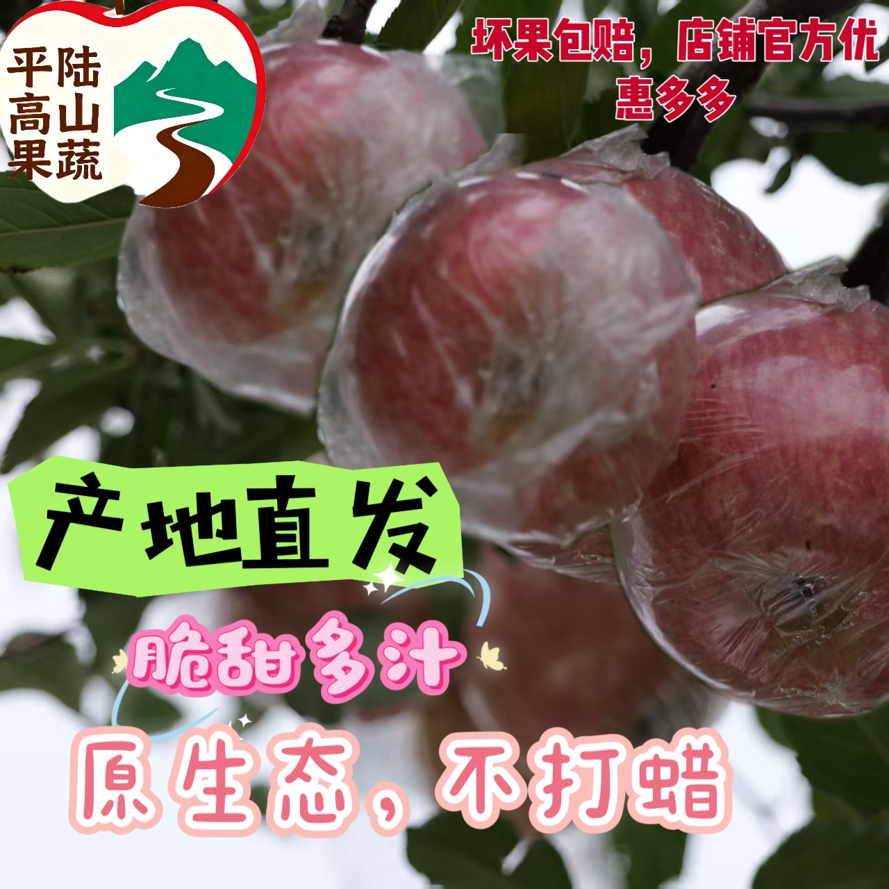 山西红富士苹果新鲜现摘脆甜夺冠多汁当季应季运城水果平安果