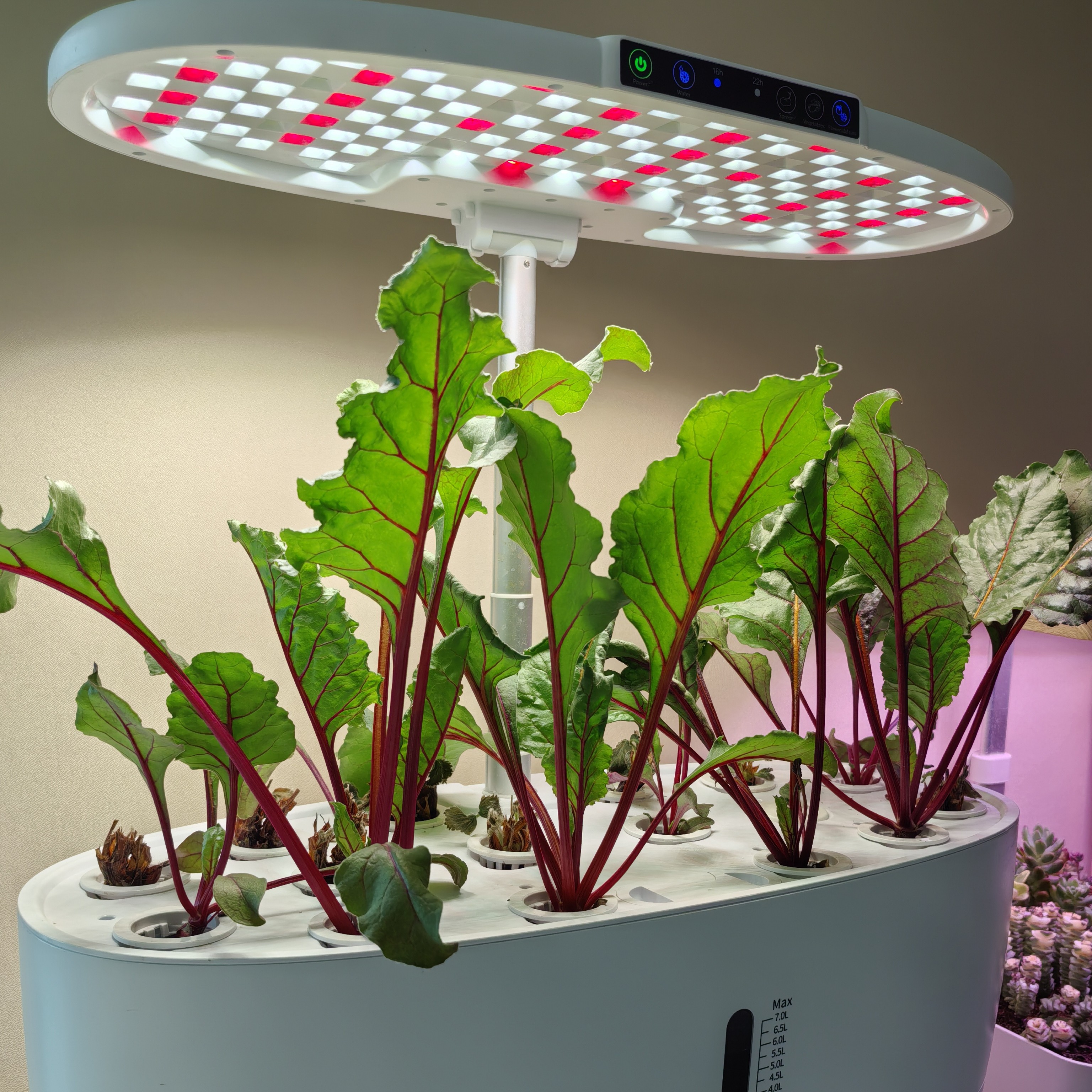 植物种植机水培种植机智能种植机室内多功能种植育苗