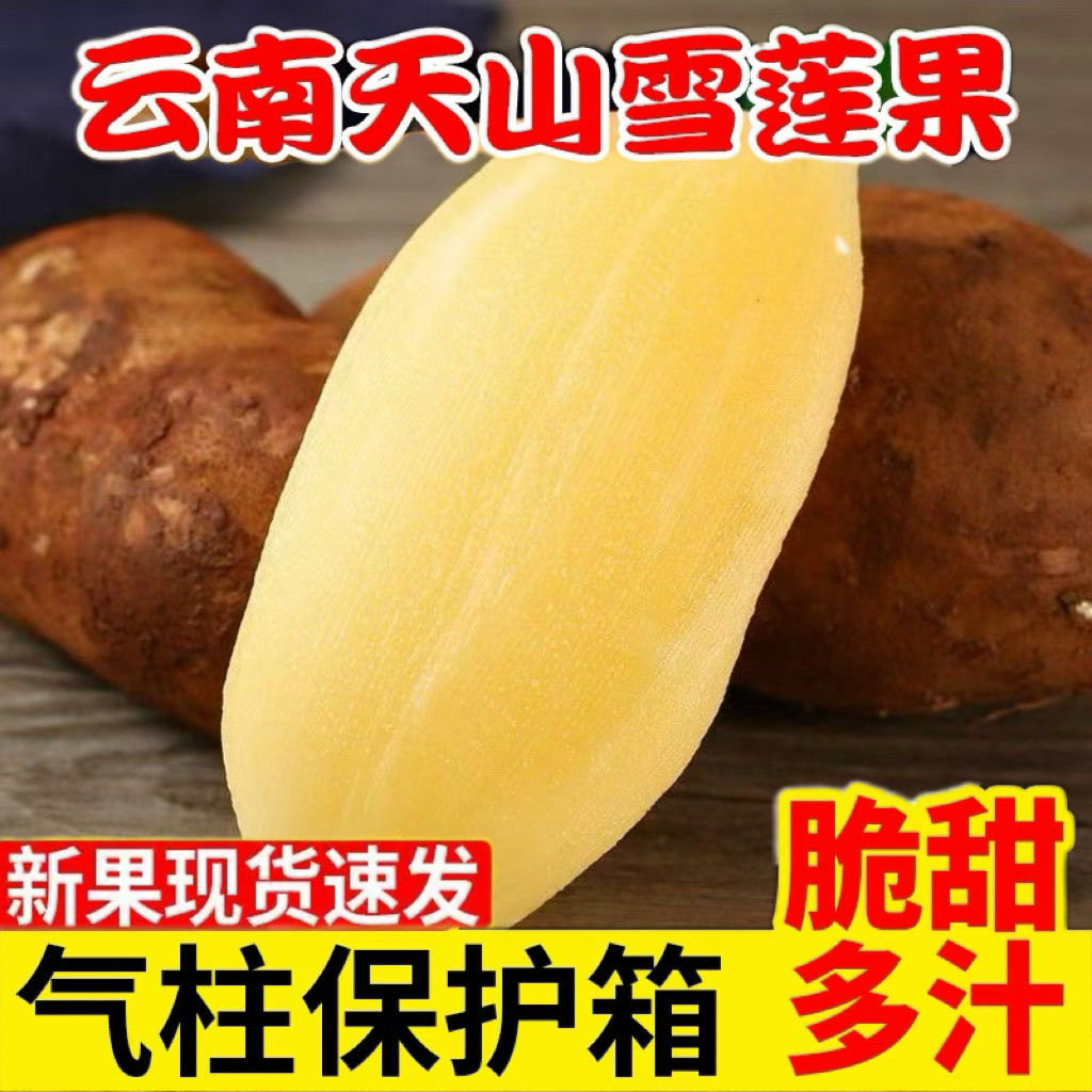 （送削皮刀） 正宗云南天山雪莲果净重3-9斤装现挖低糖水果脆甜多汁