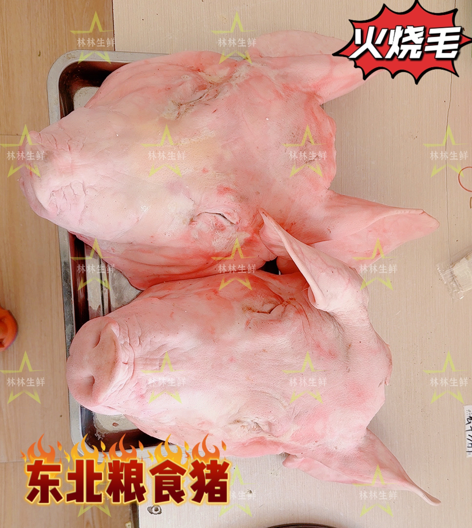 生猪头新鲜-东北纯粮笨猪头-烤完劈开发货（到手12-16斤）生鲜