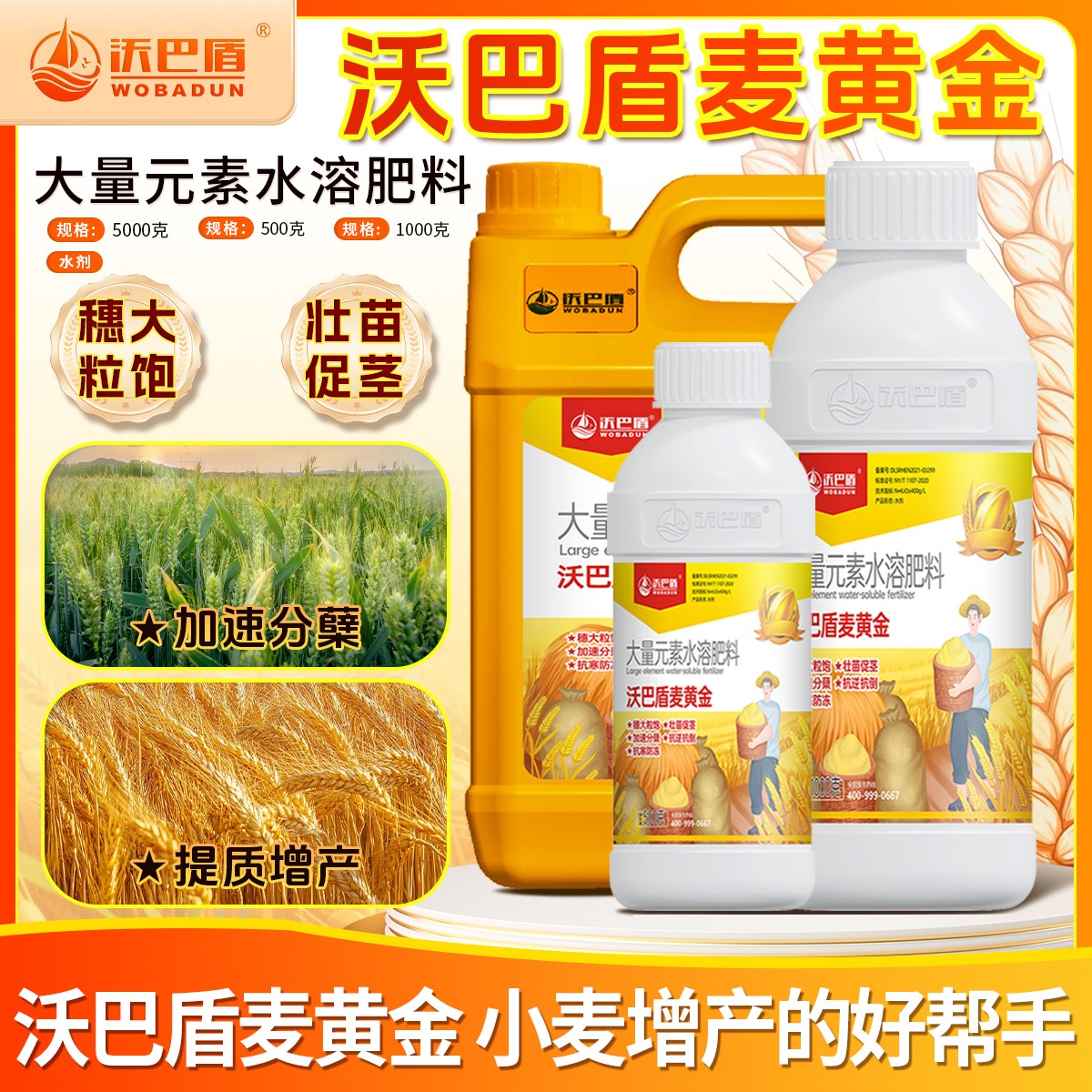 沃巴盾麦黄金抗寒防冻壮苗促茎抗倒穗大粒饱叶面大量元素水溶肥料