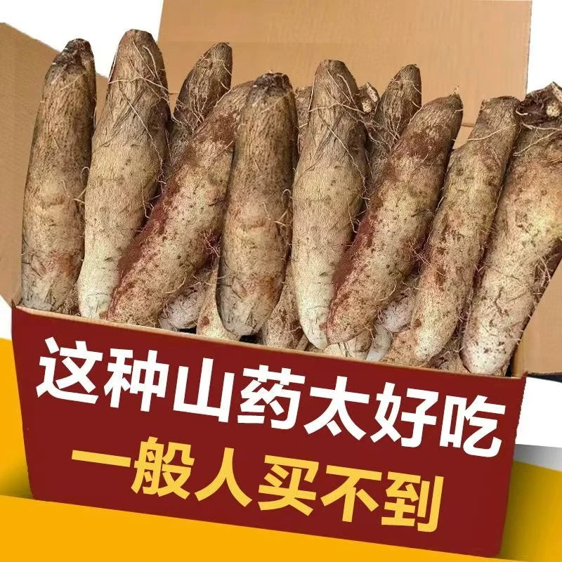 【云南特产】灵芝山药新鲜粉糯非铁棍秤砣淮山小白嘴蔬菜1/5/3/9斤