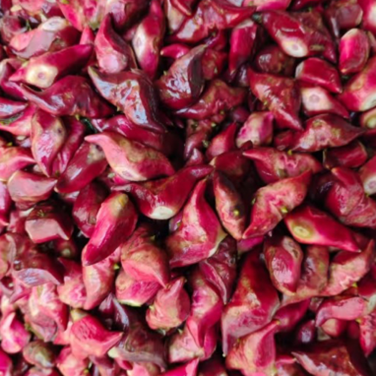 小菱角，河南信阳老家薄壳野生笨菱角。