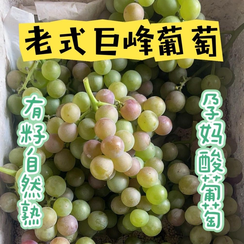 经典巨峰葡萄自然成熟儿时味道产地直发顺丰包邮