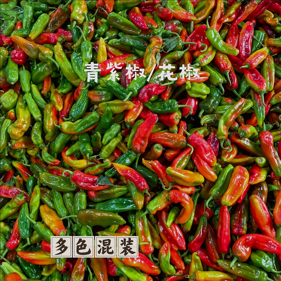 【彩花椒】芜湖江北农家种植新鲜彩椒花椒现摘饱满汁厚混色椒剁椒