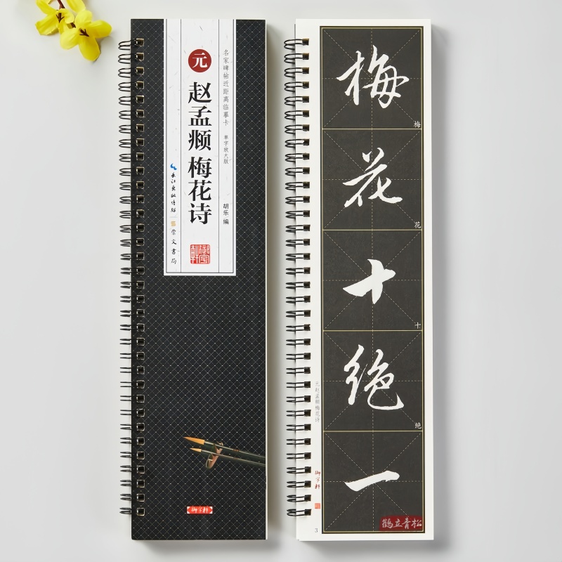 赵孟頫梅花诗行书字帖入门临摹字卡米字格放大版行书毛笔书法字帖