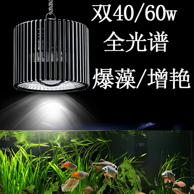 斯星特专业水草灯光谱LED爆藻灯原生溪流筒灯增色曾艳吊灯