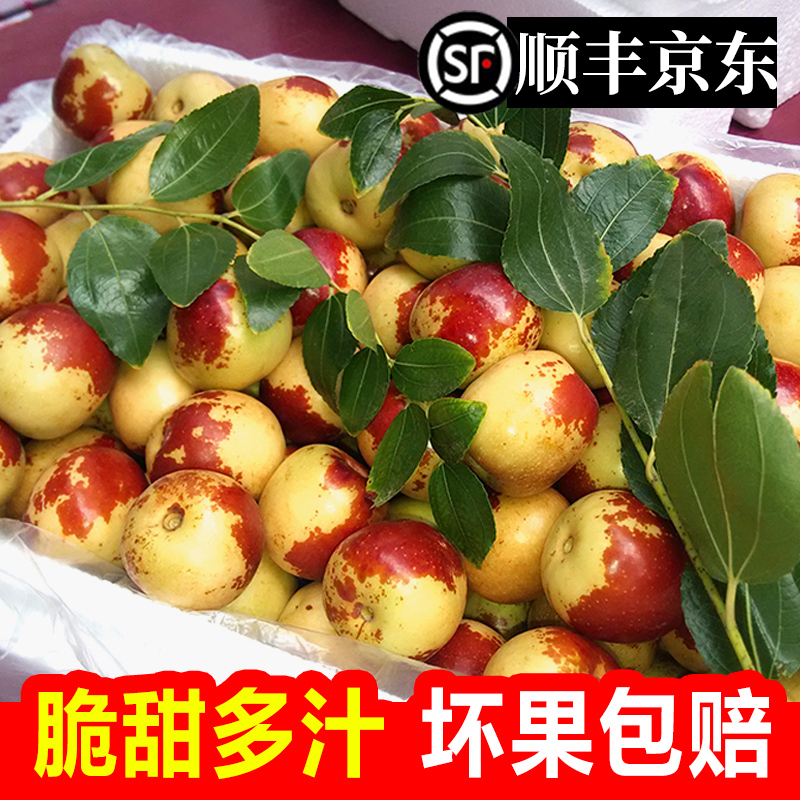 【顺丰京东】5斤冰糖冬枣⭐️果园现摘新鲜水果应季山西临猗枣子批发