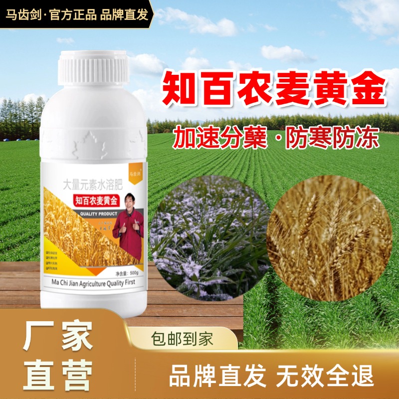 【买一瓶送一瓶】知百农麦黄金大量元素肥防寒抗旱冻加速分蘖穗大