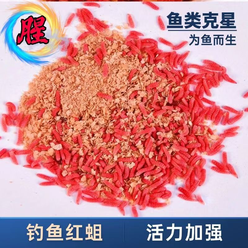 【拍1发2】鲜活红蛆虫活饵溪流石斑马口石斑白条野钓鲫鱼饵料蛋白饵