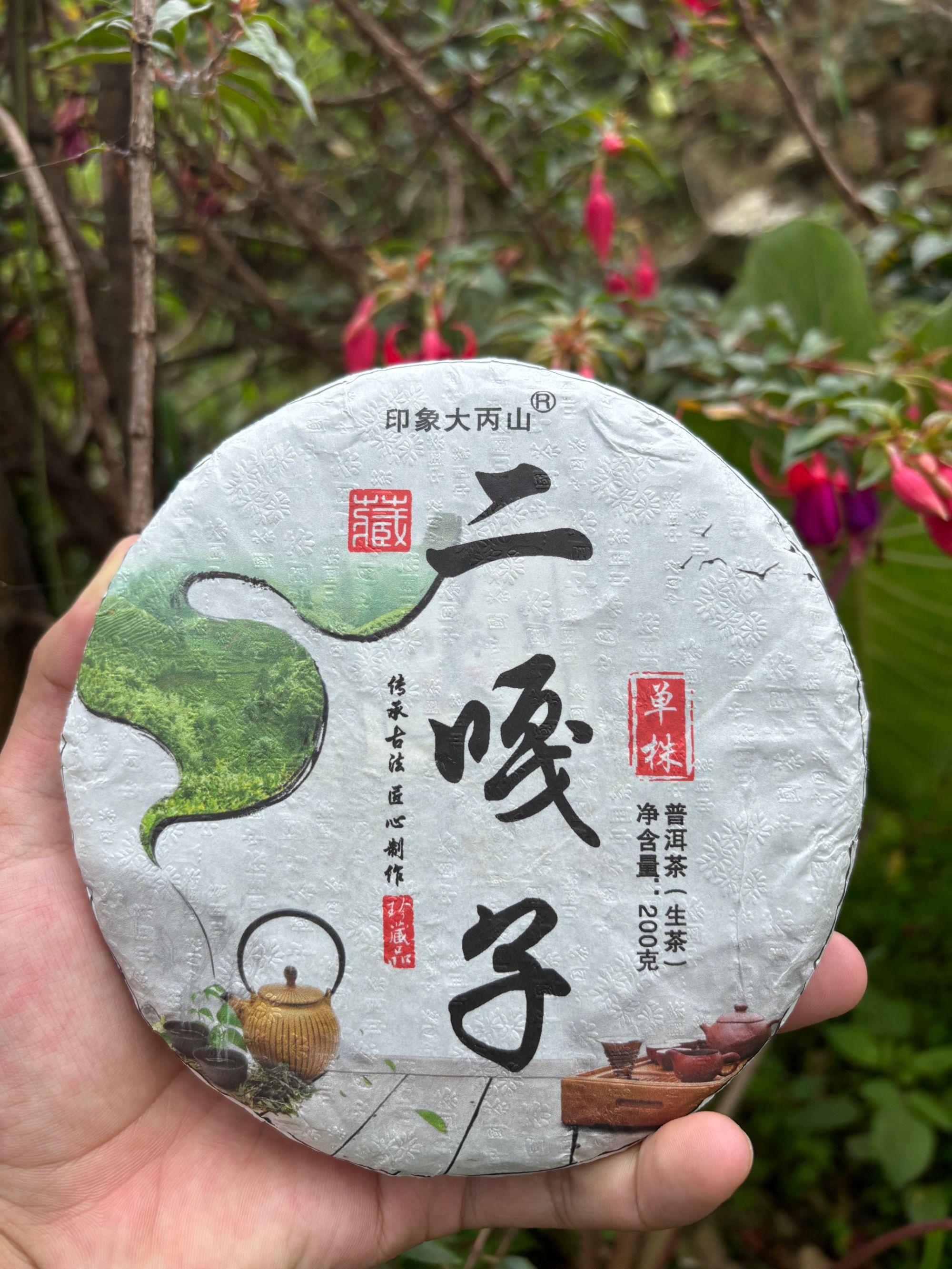 2025 二嘎子（单株）