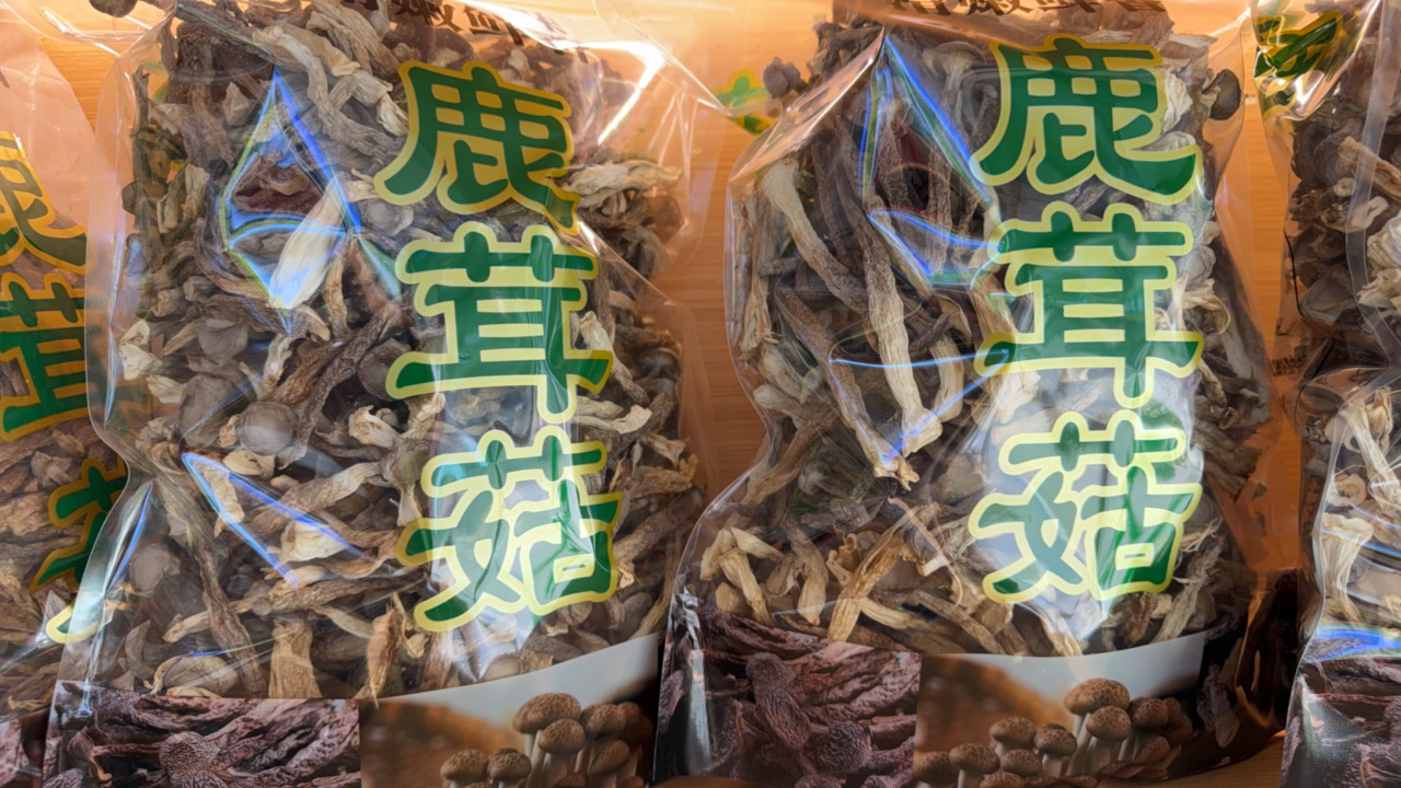 大眼推荐：鹿茸菇煲汤炒菜凉拌