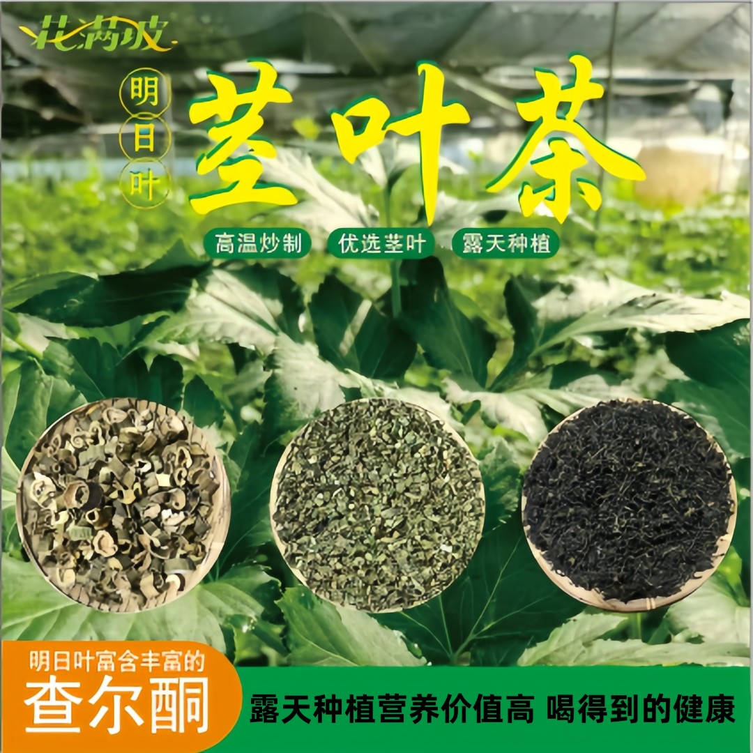 明日叶茶含查尔酮露天种植新茶长寿草神仙草原产地手工浓香耐冲泡