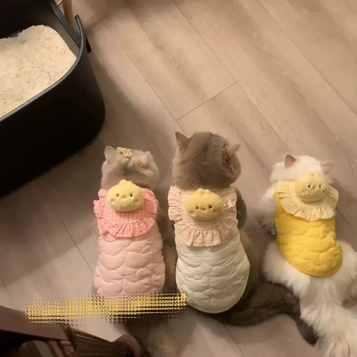 25年新款猫咪衣服狗狗冬金渐层英短金吉拉宠物可爱保暖加绒马甲M