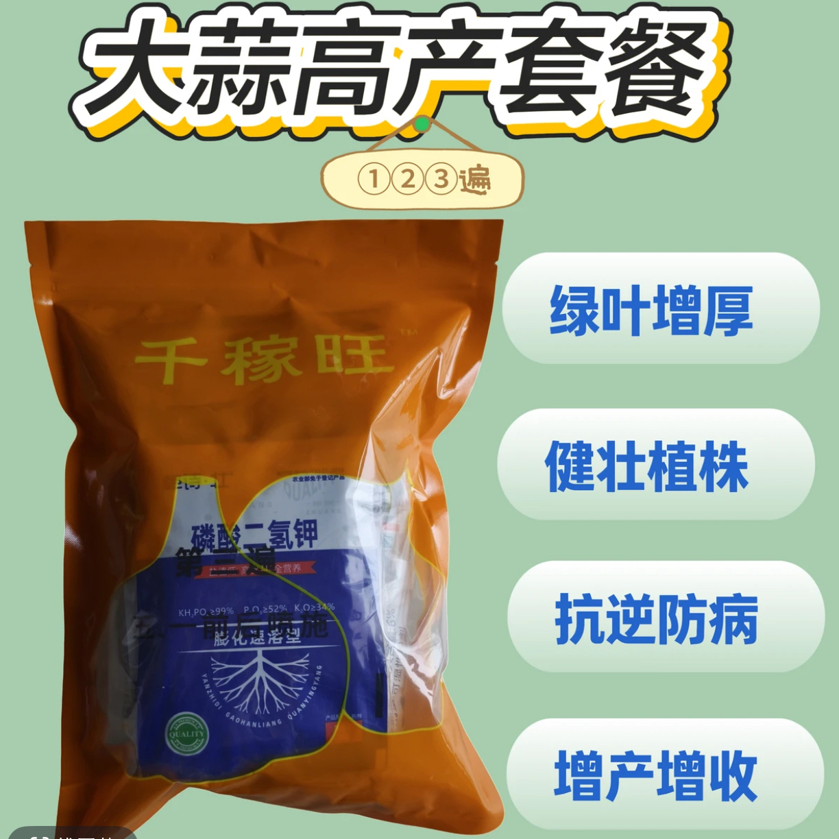 千稼旺大蒜高产三遍套餐生根壮苗抗病膨大增产（9送一）