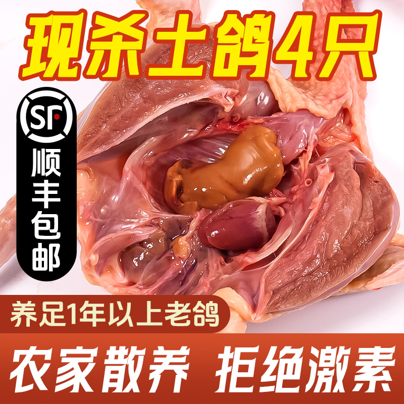 【新鲜土鸽2只】土鸽现杀鸽子肉美味特大鸽子现杀新鲜顺丰包邮