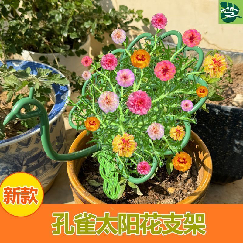 新款太阳花架支撑架太阳花专用固定架孔雀造型