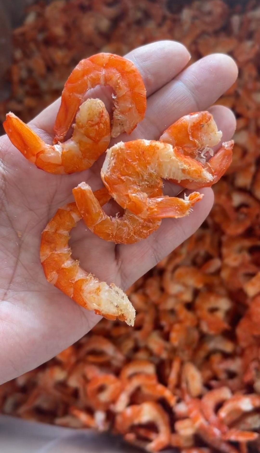 汕尾本港海虾精制即食海米海鲜干货 煲汤做粿送礼好物