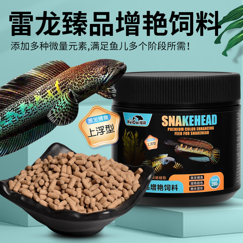 绘彩雷龙鱼饲料阿萨姆眼镜蛇奶茶巴卡铅笔鱼食发色小颗粒专用鱼粮