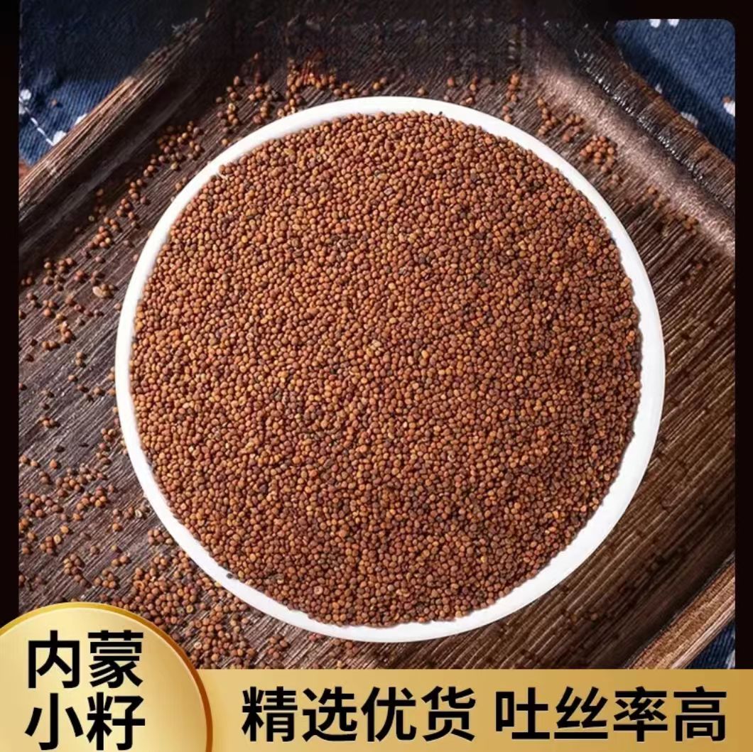 【精选】菟丝子正品泡水喝吐丝率高内蒙正品菟丝子搭配枸杞