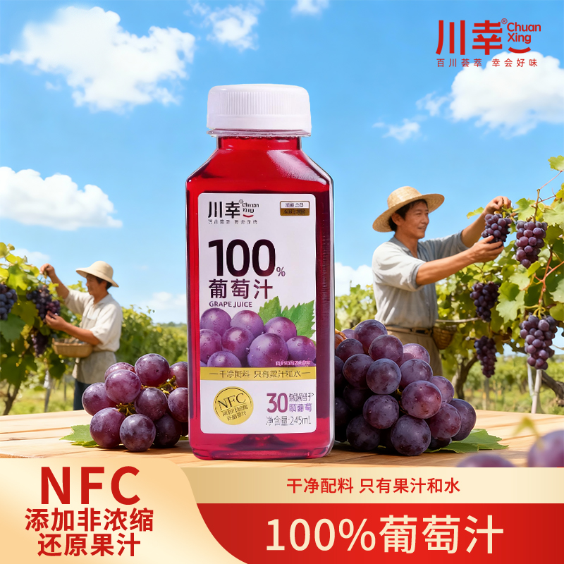 川幸100%葡萄汁酸甜爽口满满花青素聚餐宿舍饮料果蔬汁245ml*10瓶