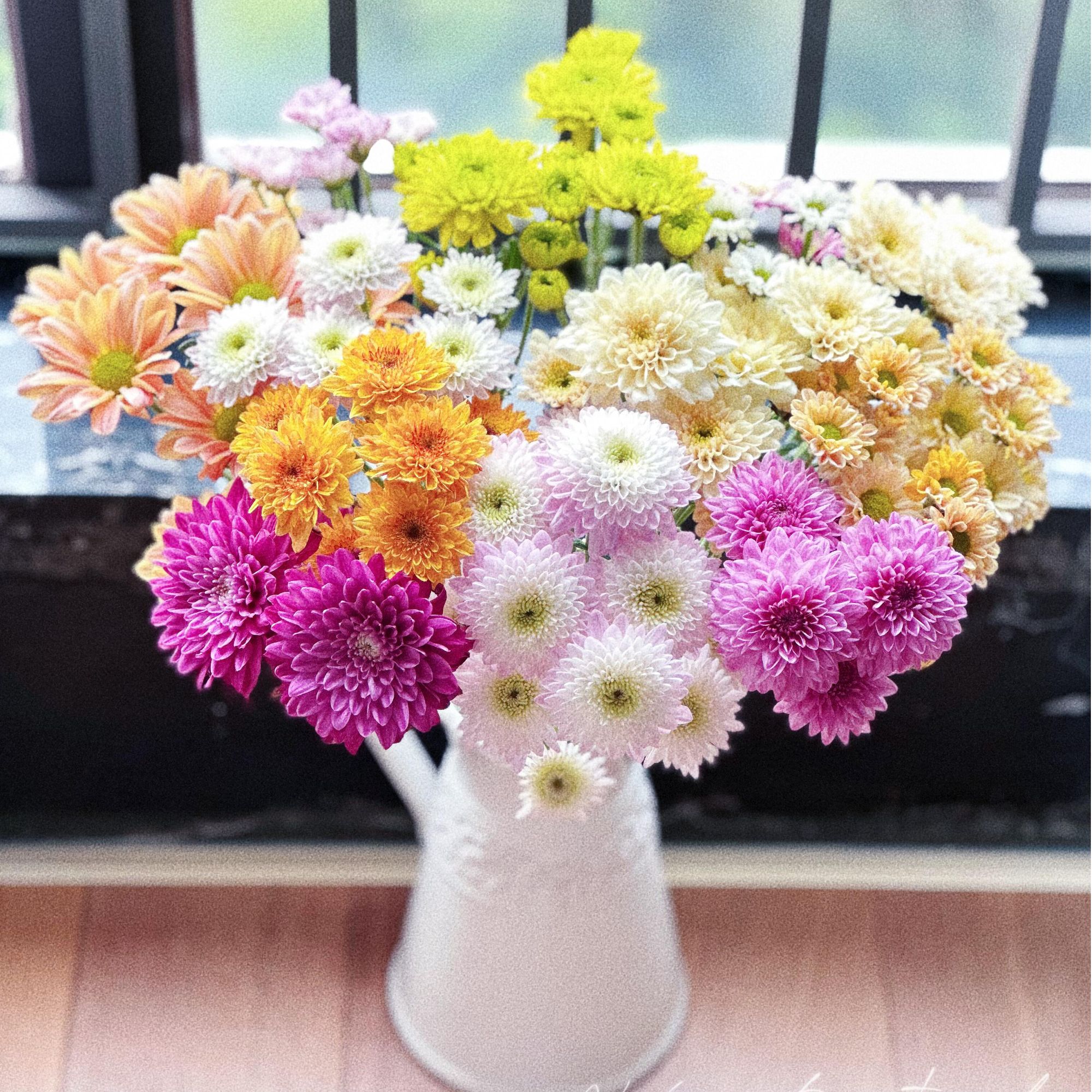 【混色小雏菊】云南基地直采直发包邮混色小菊鲜切花插花小雏菊鲜花