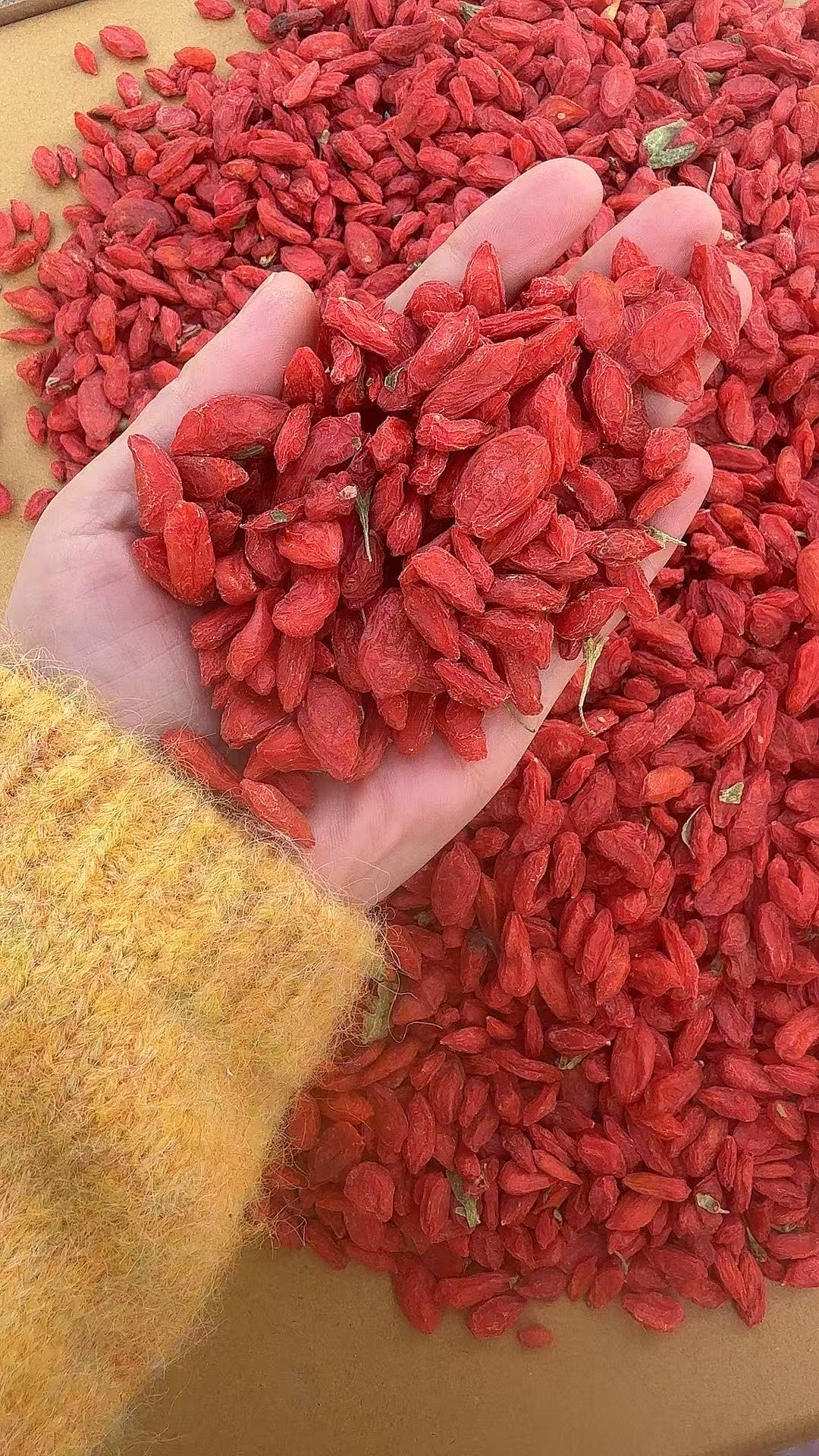 枸杞تەببى ئالقات （新疆喀什发货）