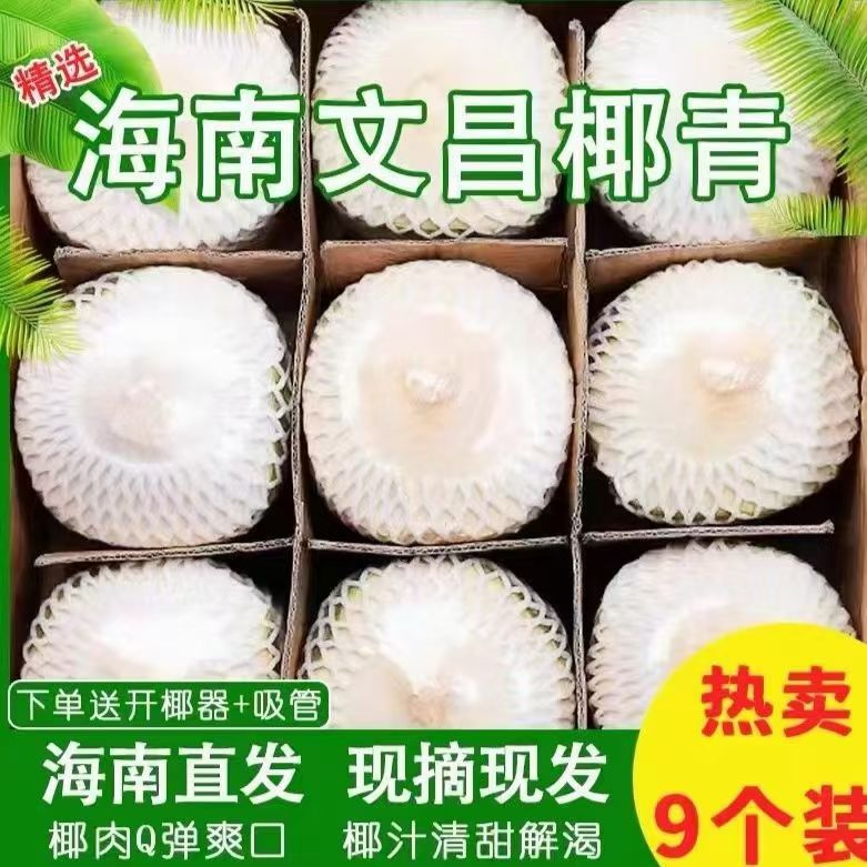 海南新鲜椰青精选9个装清甜爽口送开椰器和吸管坏果包赔