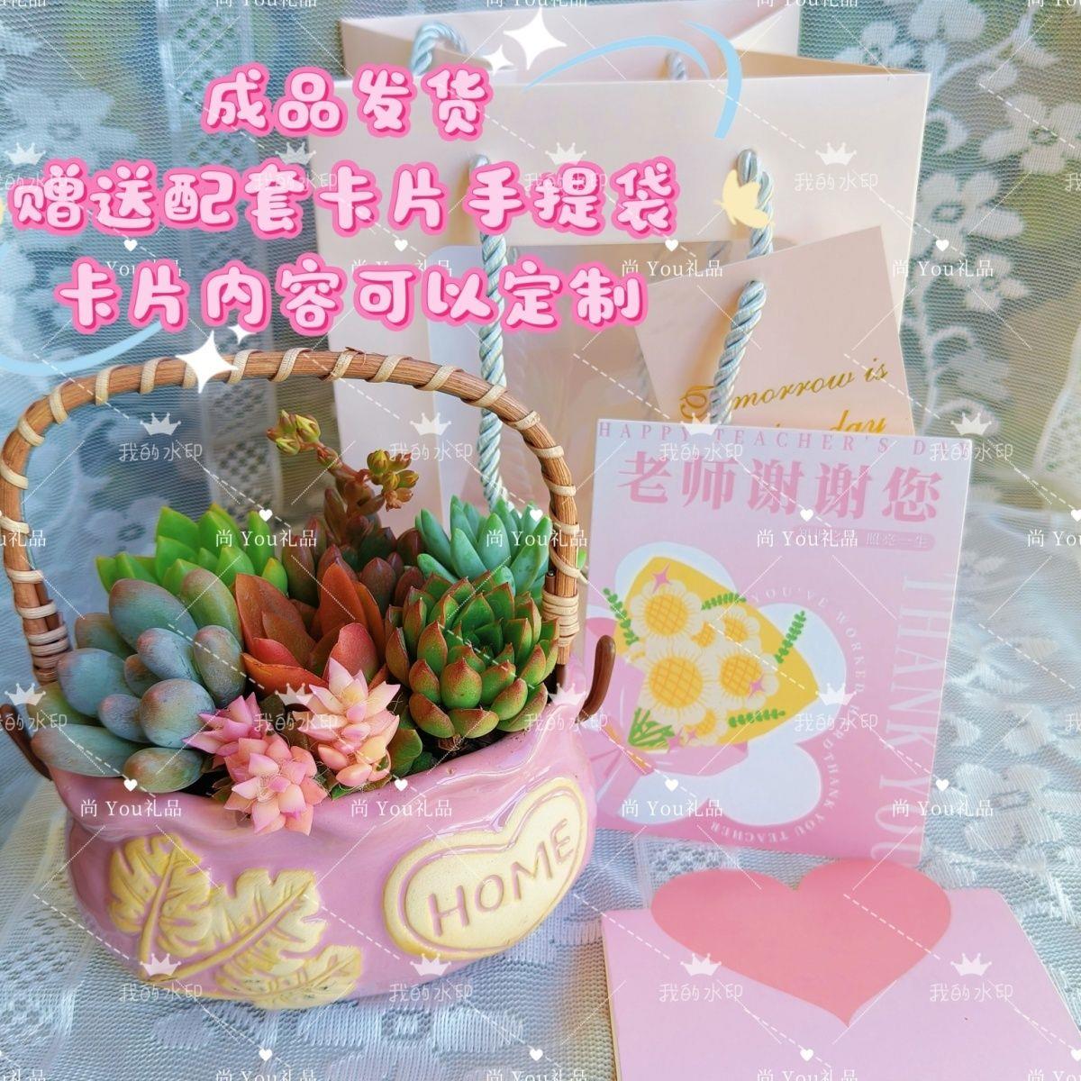 乌鲁木齐发货开学季教师节送老师公司活动植生气适合老师桌面摆件