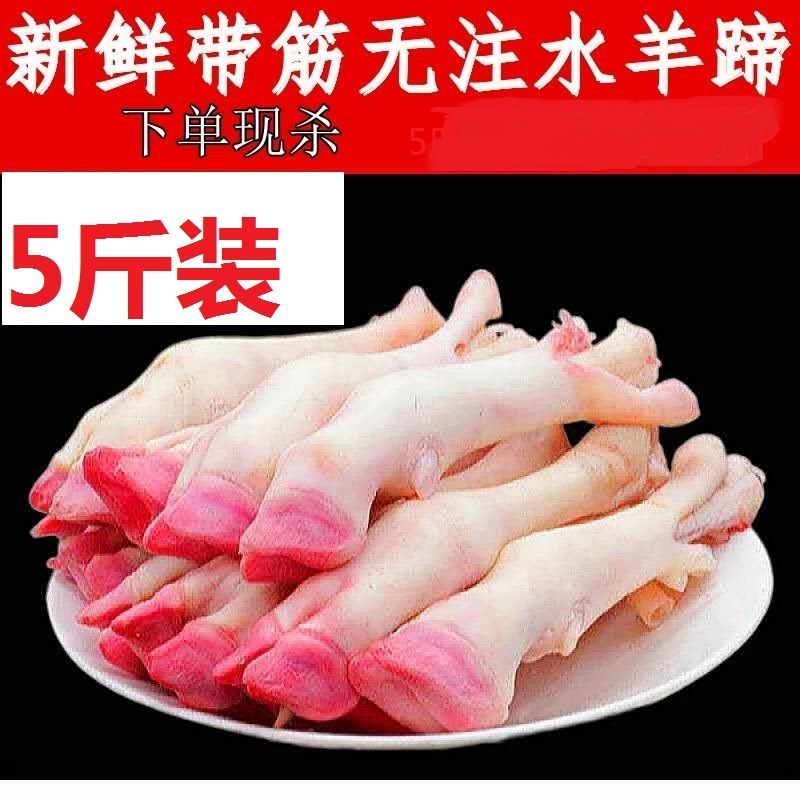 生羊蹄带筋农家羔羊蹄多肉精修羊蹄新鲜羊脚肉批发饭店卤炖羊蹄
